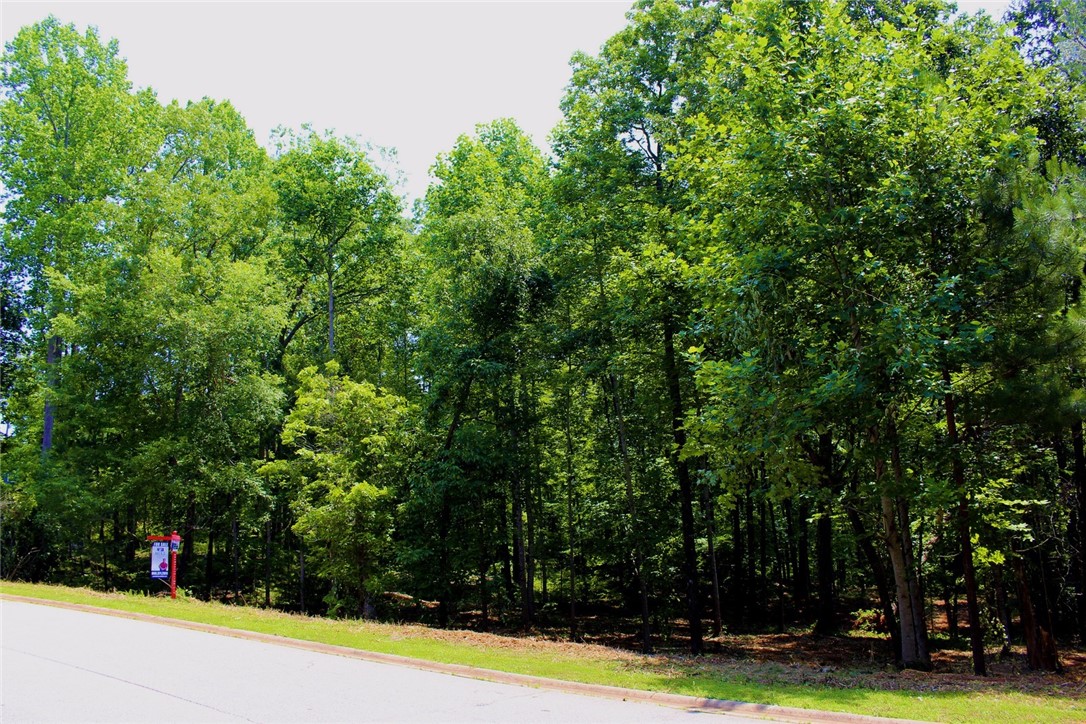 Lot 13 Waterford Ridge Seneca, SC 29672 - Photo 17 of 42 Gallery Image 17