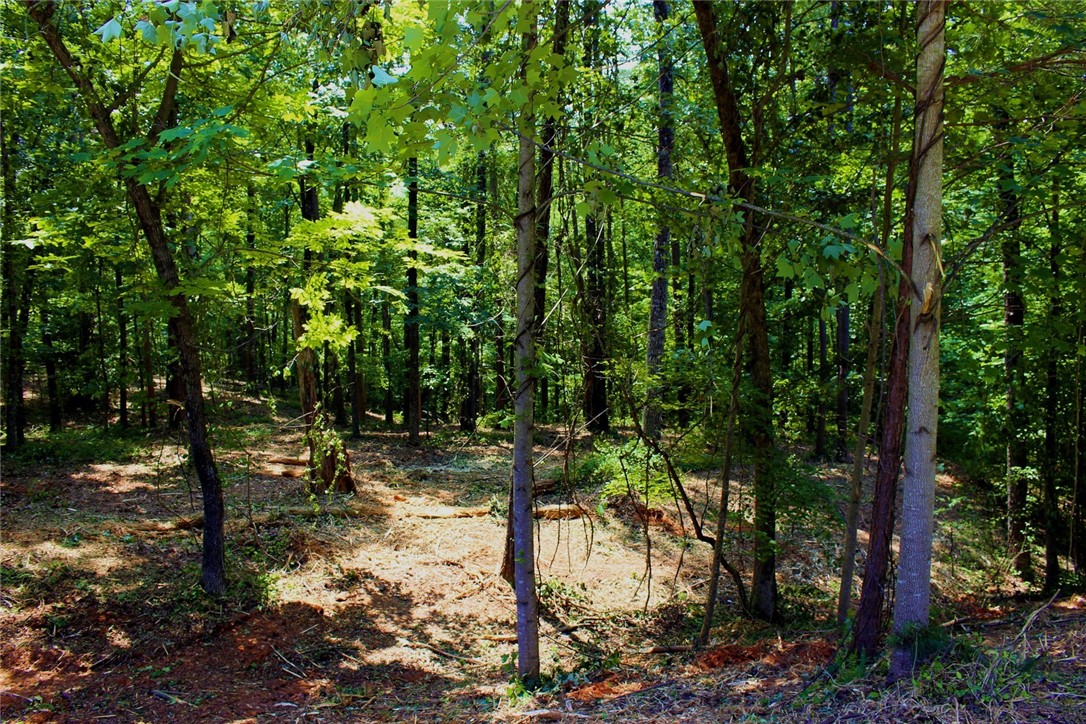 Lot 13 Waterford Ridge Seneca, SC 29672 - Photo 18 of 42 Gallery Image 18