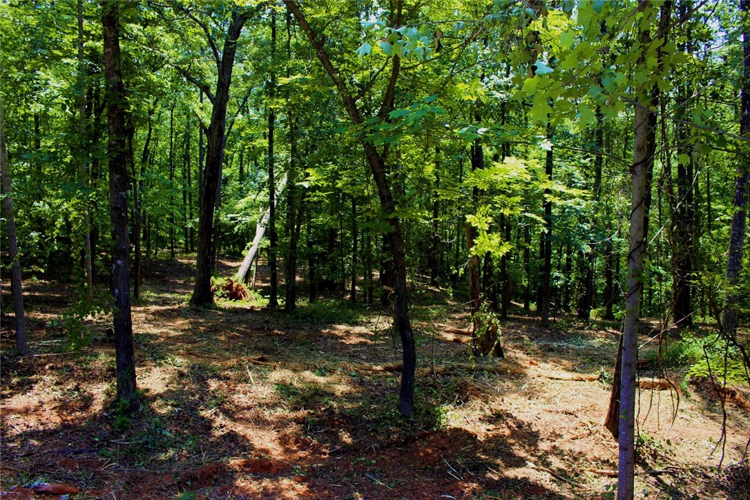 Lot 13 Waterford Ridge Seneca, SC 29672 - Photo 19 of 42 Gallery Image 19