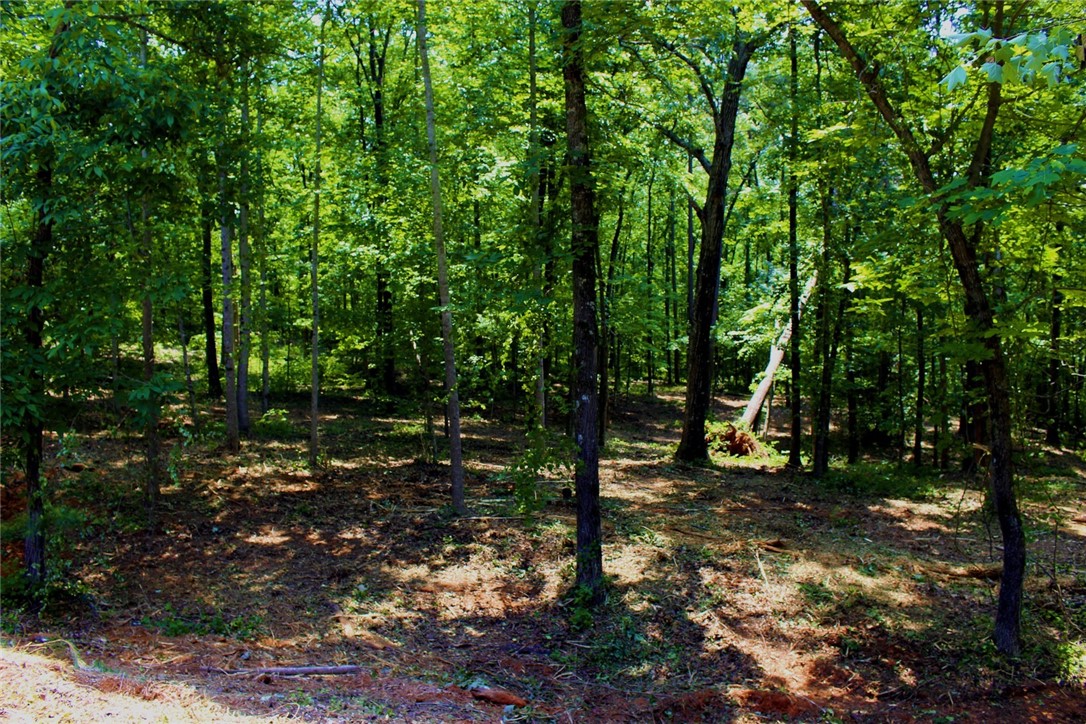 Lot 13 Waterford Ridge Seneca, SC 29672 - Photo 20 of 42 Gallery Image 20