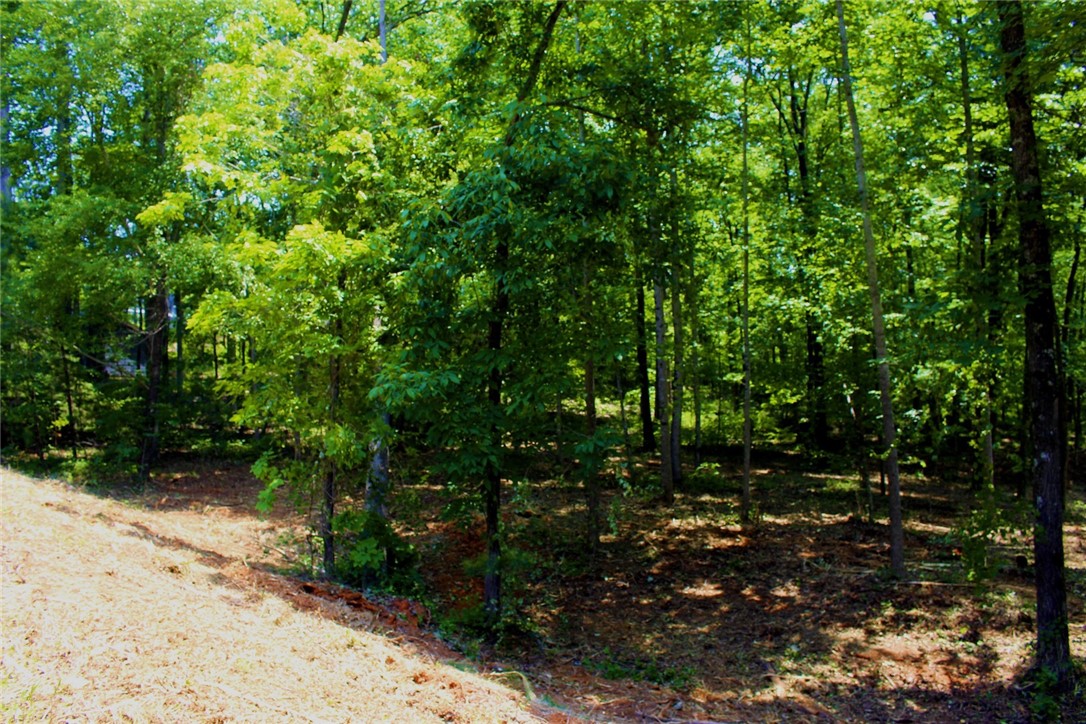 Lot 13 Waterford Ridge Seneca, SC 29672 - Photo 21 of 42 Gallery Image 21