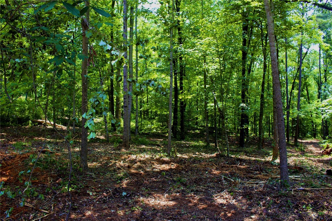 Lot 13 Waterford Ridge Seneca, SC 29672 - Photo 22 of 42 Gallery Image 22
