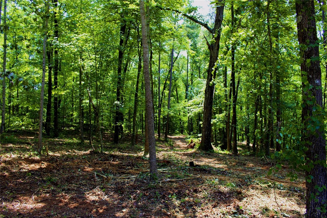 Lot 13 Waterford Ridge Seneca, SC 29672 - Photo 23 of 42 Gallery Image 23