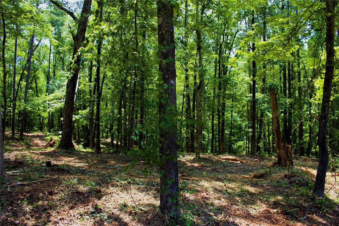 Lot 13 Waterford Ridge Seneca, SC 29672 - Photo 24 of 42 Gallery Image 24