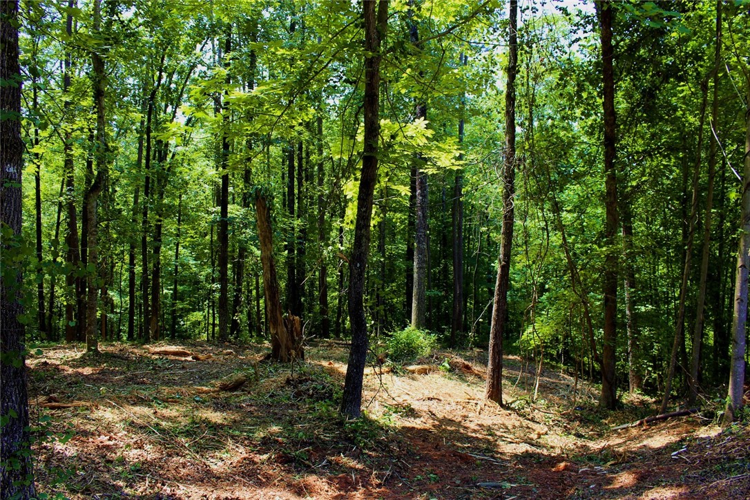 Lot 13 Waterford Ridge Seneca, SC 29672 - Photo 25 of 42 Gallery Image 25