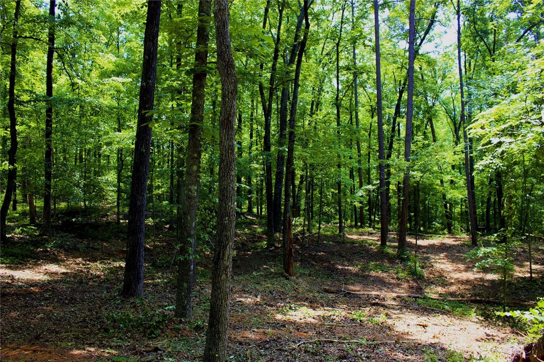 Lot 13 Waterford Ridge Seneca, SC 29672 - Photo 26 of 42 Gallery Image 26
