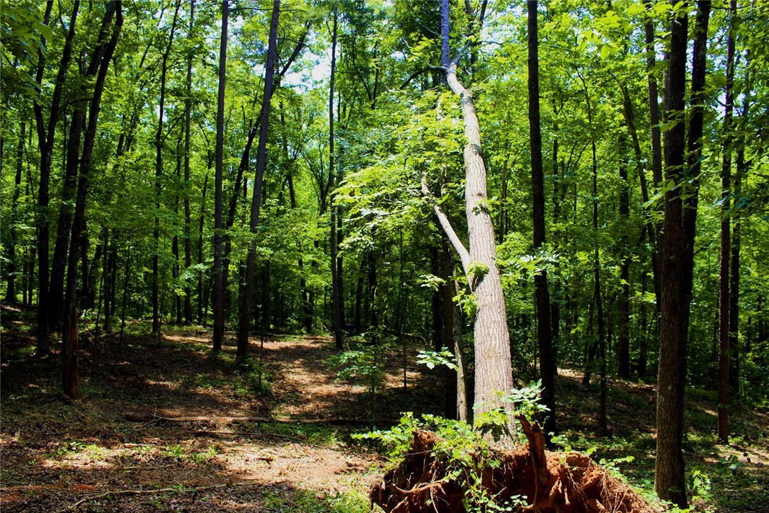 Lot 13 Waterford Ridge Seneca, SC 29672 - Photo 27 of 42 Gallery Image 27
