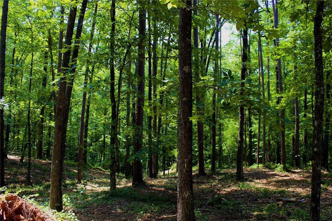 Lot 13 Waterford Ridge Seneca, SC 29672 - Photo 28 of 42 Gallery Image 28