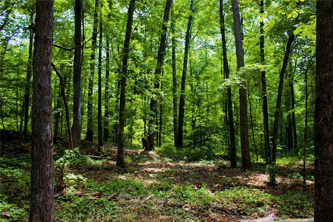 Lot 13 Waterford Ridge Seneca, SC 29672 - Photo 29 of 42 Gallery Image 29