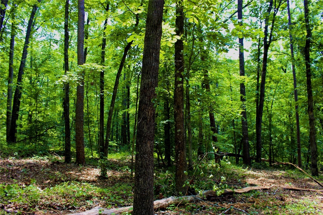 Lot 13 Waterford Ridge Seneca, SC 29672 - Photo 30 of 42 Gallery Image 30