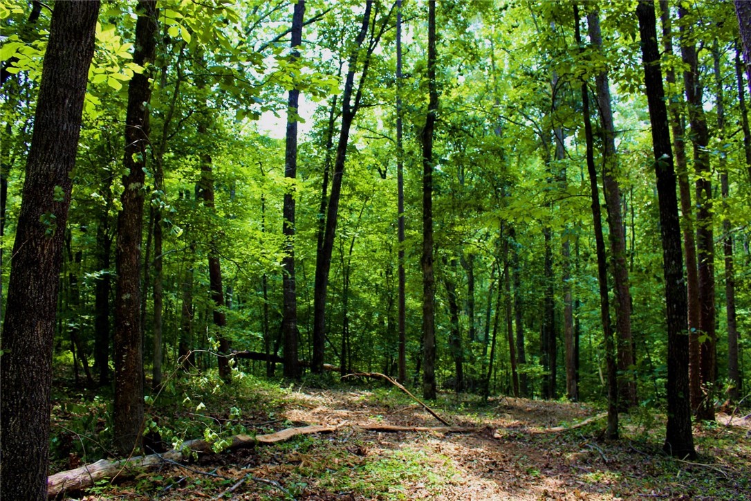 Lot 13 Waterford Ridge Seneca, SC 29672 - Photo 31 of 42 Gallery Image 31