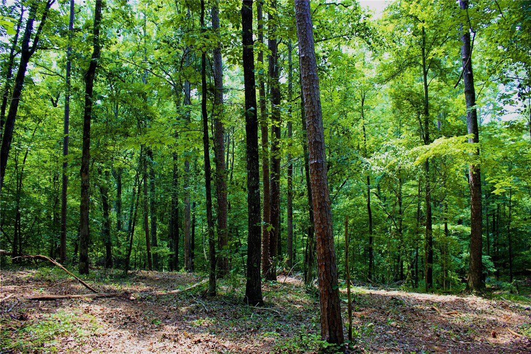 Lot 13 Waterford Ridge Seneca, SC 29672 - Photo 32 of 42 Gallery Image 32