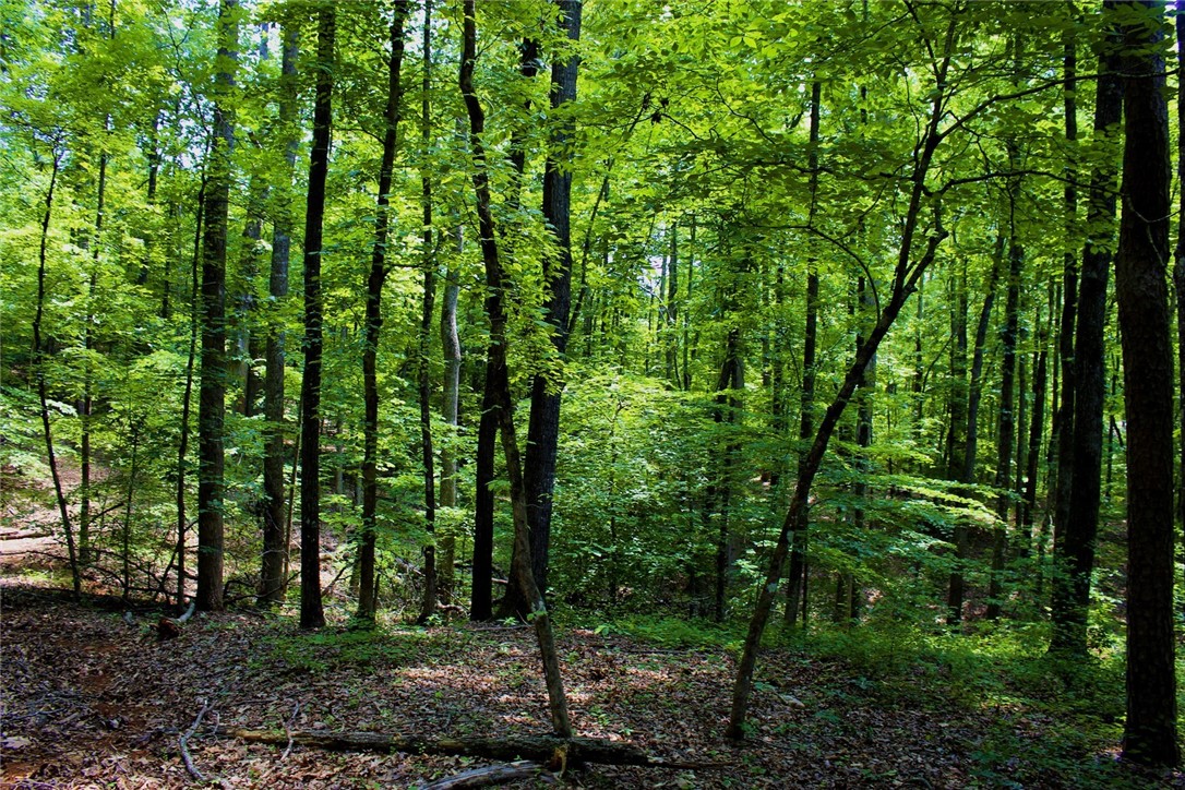 Lot 13 Waterford Ridge Seneca, SC 29672 - Photo 33 of 42 Gallery Image 33