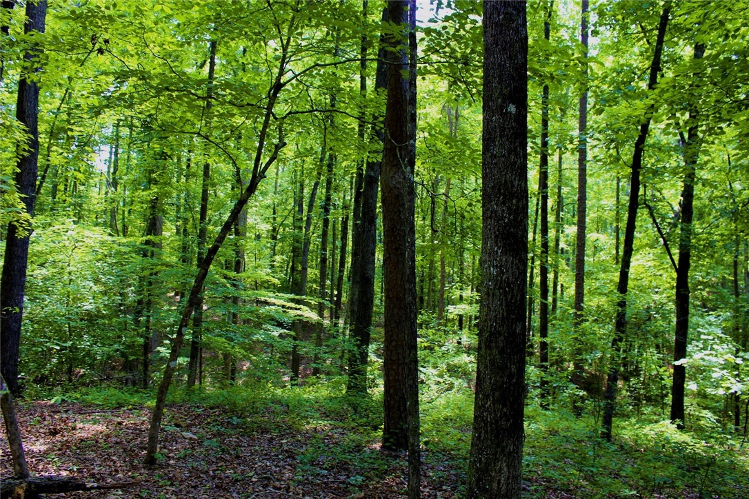 Lot 13 Waterford Ridge Seneca, SC 29672 - Photo 34 of 42 Gallery Image 34