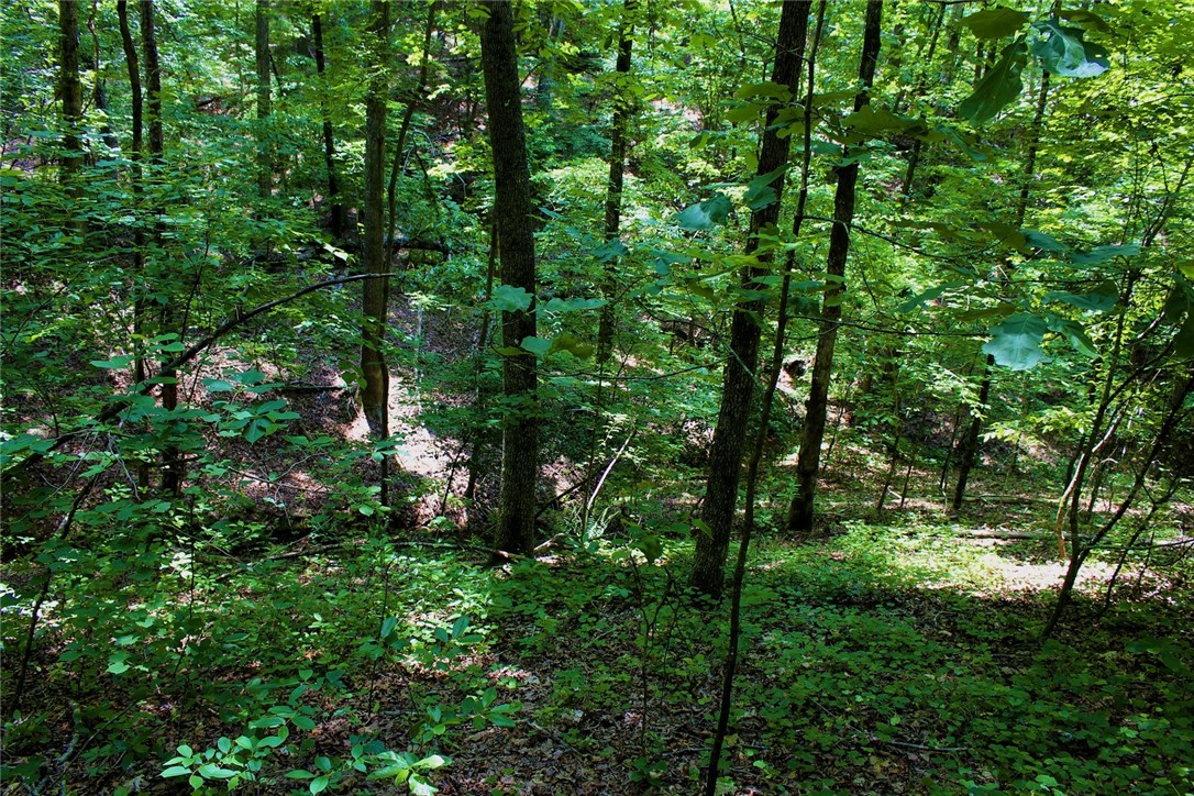 Lot 13 Waterford Ridge Seneca, SC 29672 - Photo 36 of 42 Gallery Image 36