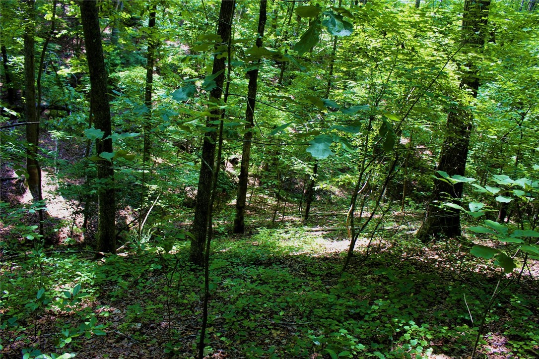 Lot 13 Waterford Ridge Seneca, SC 29672 - Photo 37 of 42 Gallery Image 37