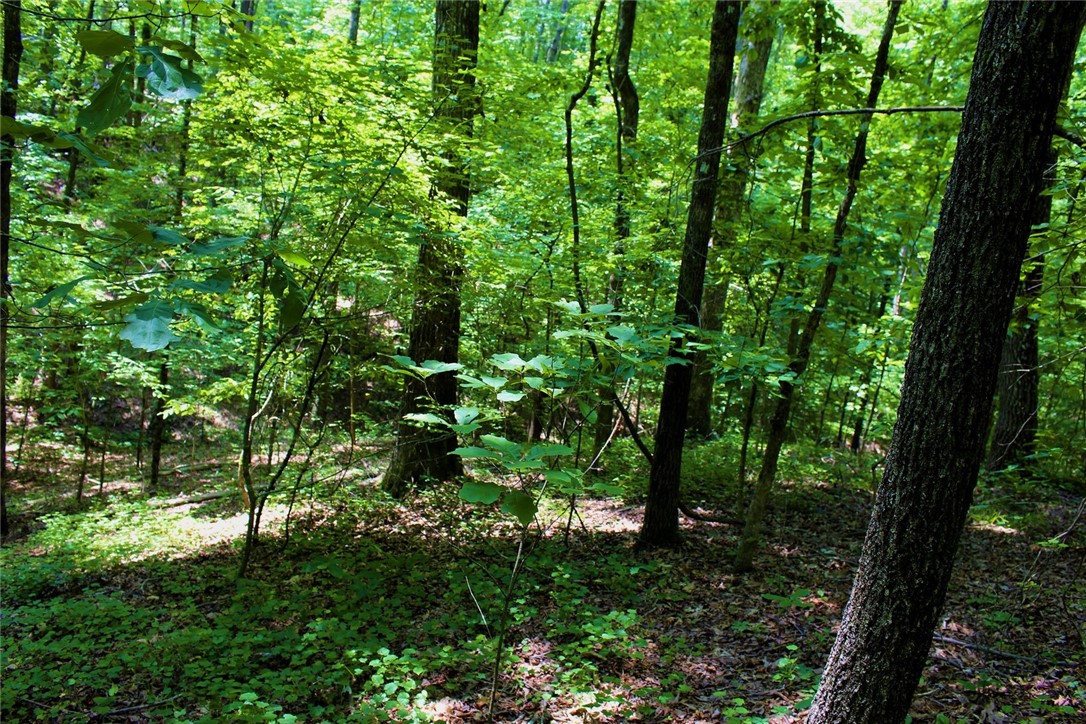 Lot 13 Waterford Ridge Seneca, SC 29672 - Photo 38 of 42 Gallery Image 38