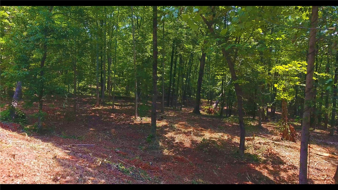 Lot 13 Waterford Ridge Seneca, SC 29672 - Photo 10 of 42 Gallery Image 10