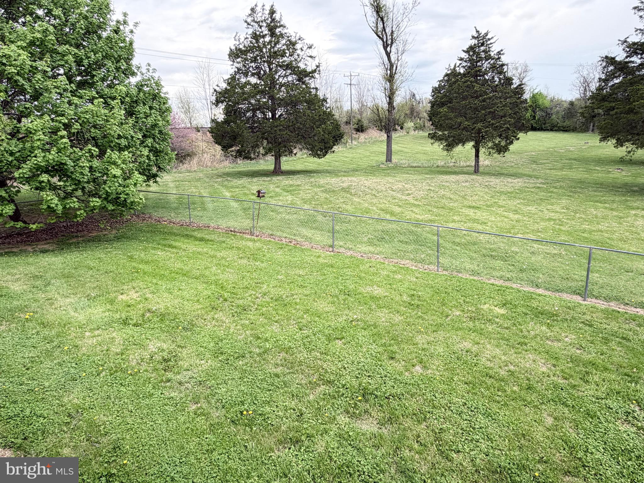 78 Brook Creek Road Toms Brook, VA 22660 - Photo 19 of 43 a big yard with trees in the background