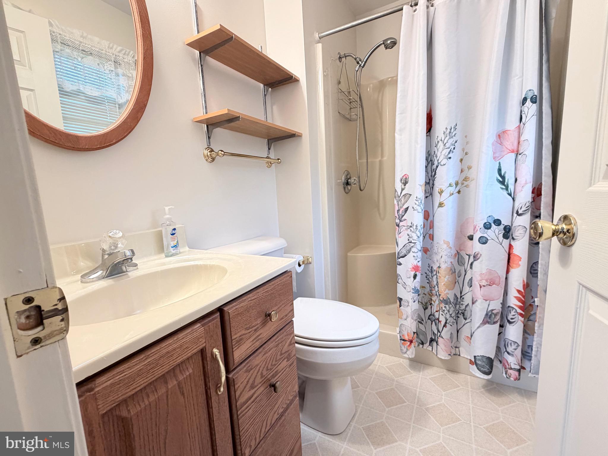 78 Brook Creek Road Toms Brook, VA 22660 - Photo 31 of 43 a bathroom with a sink toilet and a mirror