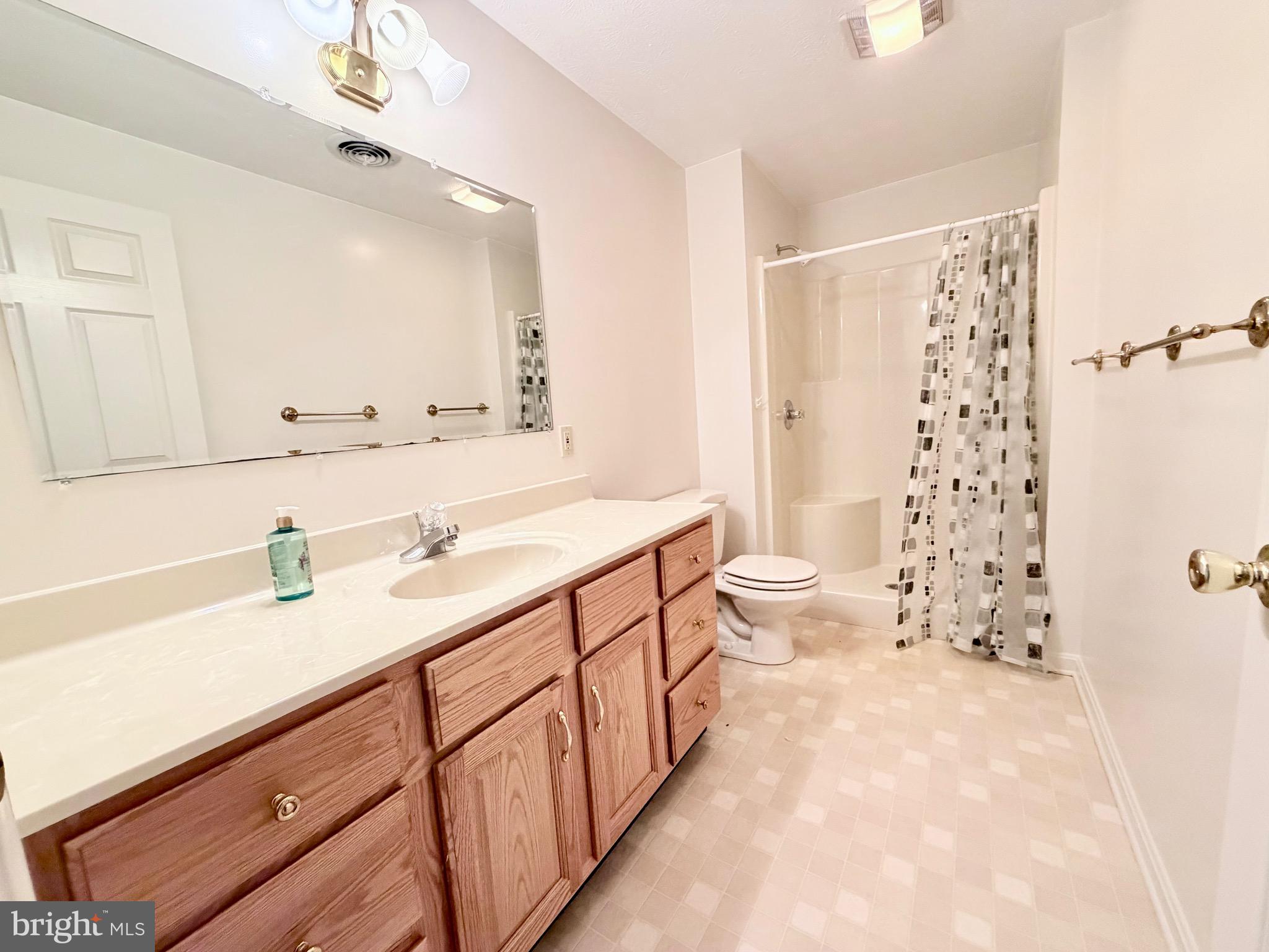 78 Brook Creek Road Toms Brook, VA 22660 - Photo 33 of 43 a spacious bathroom with double sink a toilet a shower and a mirror