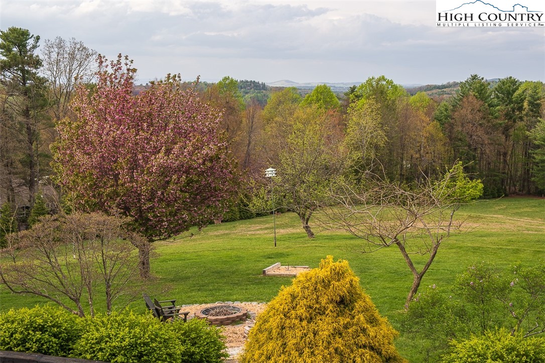 186 Woodcrest Road Glade Valley, NC 28627 - Photo 37 of 50 a view of yard with swimming pool and green space