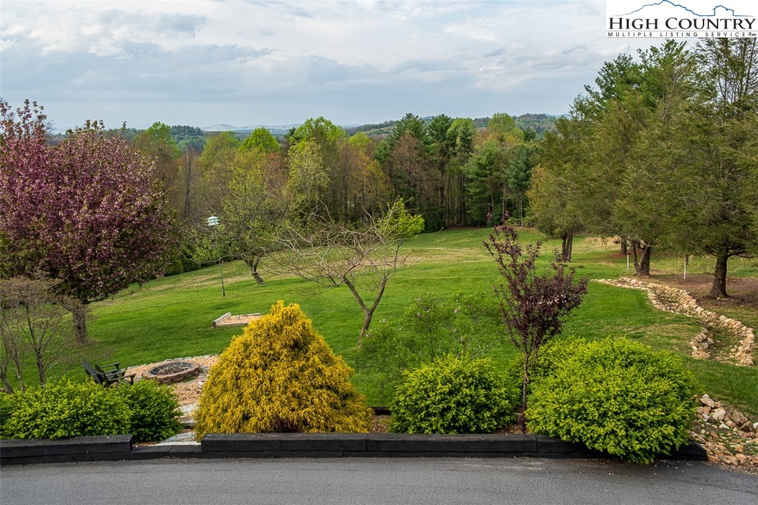 186 Woodcrest Road Glade Valley, NC 28627 - Photo 38 of 50 a view of a garden with large trees