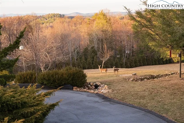 a view of yard covered with snow in front of house