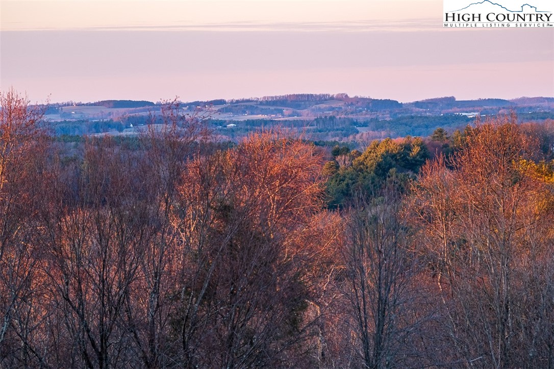 186 Woodcrest Road Glade Valley, NC 28627 - Photo 47 of 50 a view of a lush green field with mountains in the background