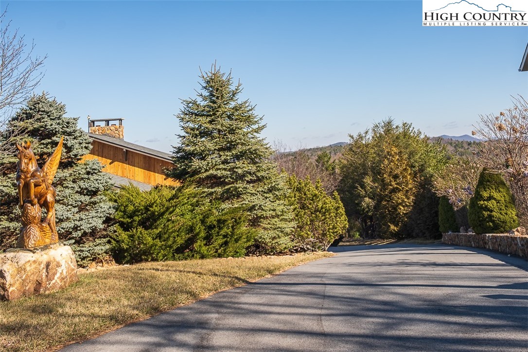 186 Woodcrest Road Glade Valley, NC 28627 - Photo 7 of 50 a view of a backyard of the house