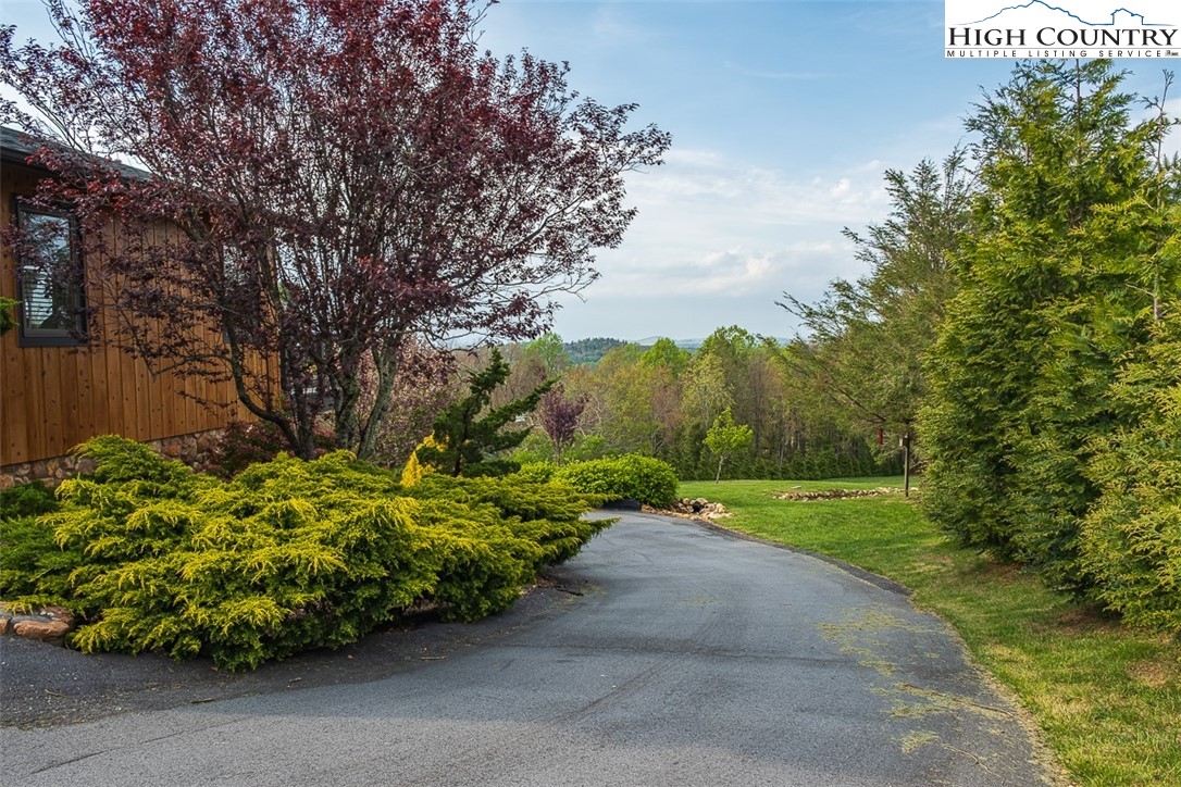 186 Woodcrest Road Glade Valley, NC 28627 - Photo 8 of 50 a green field with lots of trees