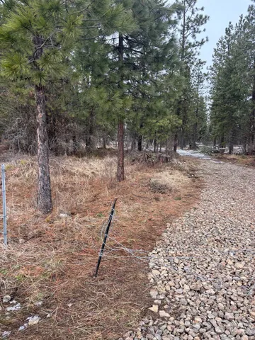 $144,000 | Tbd Freeman Creek Road, Lenore, ID 83541