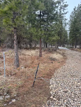 $144,000 | Tbd Freeman Creek Road, Lenore, ID 83541
