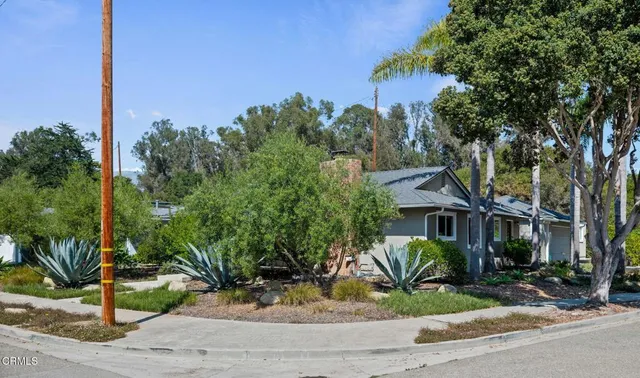 a view of a house with potted plants and large tree