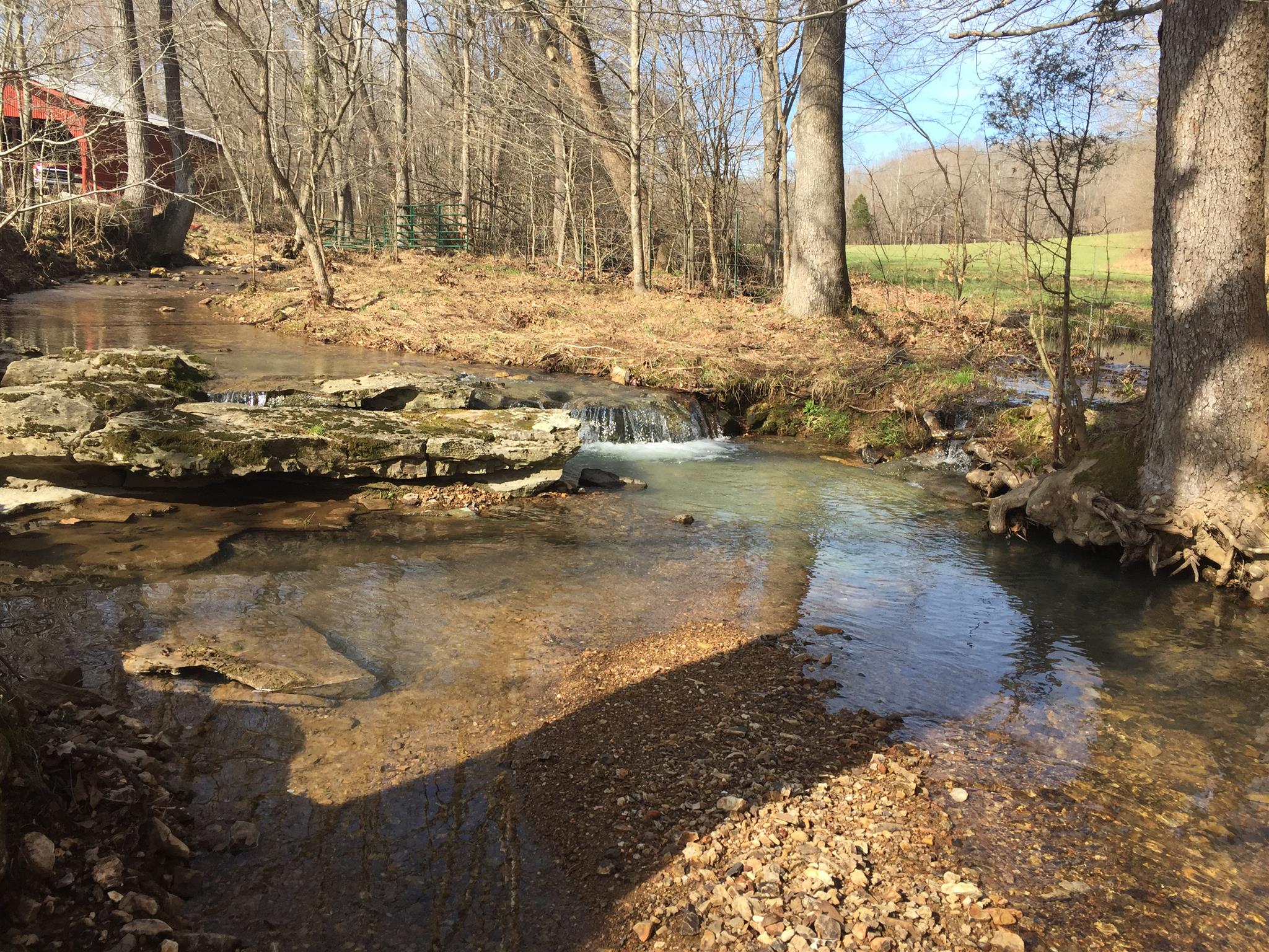 101 Wiggs Branch Road Erin, TN 37061 - Photo 2 of 5 Gallery Image 2