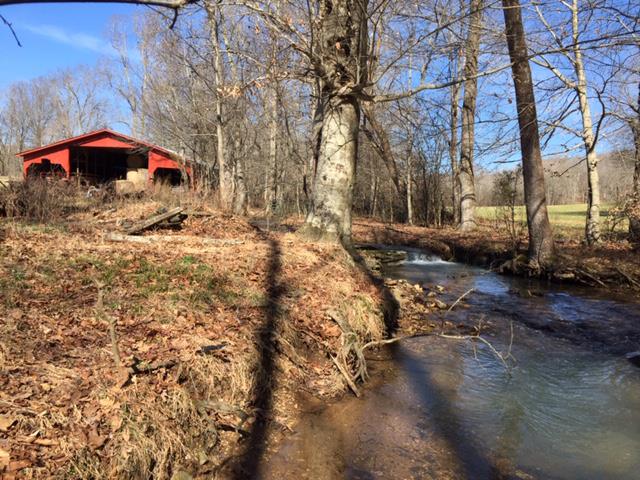 101 Wiggs Branch Road Erin, TN 37061 - Photo 3 of 5 Gallery Image 3