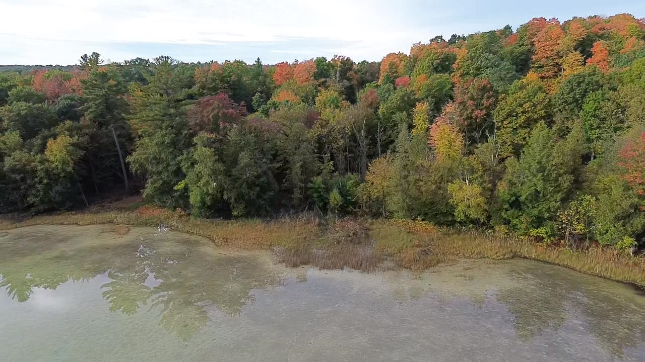 4972 Truax Lake Road Williamsburg, MI 49690 - Photo 4 of 27
