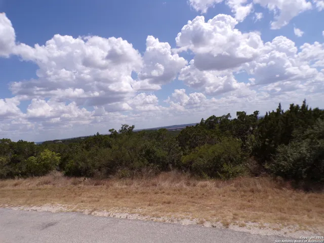 a view of a bunch of trees