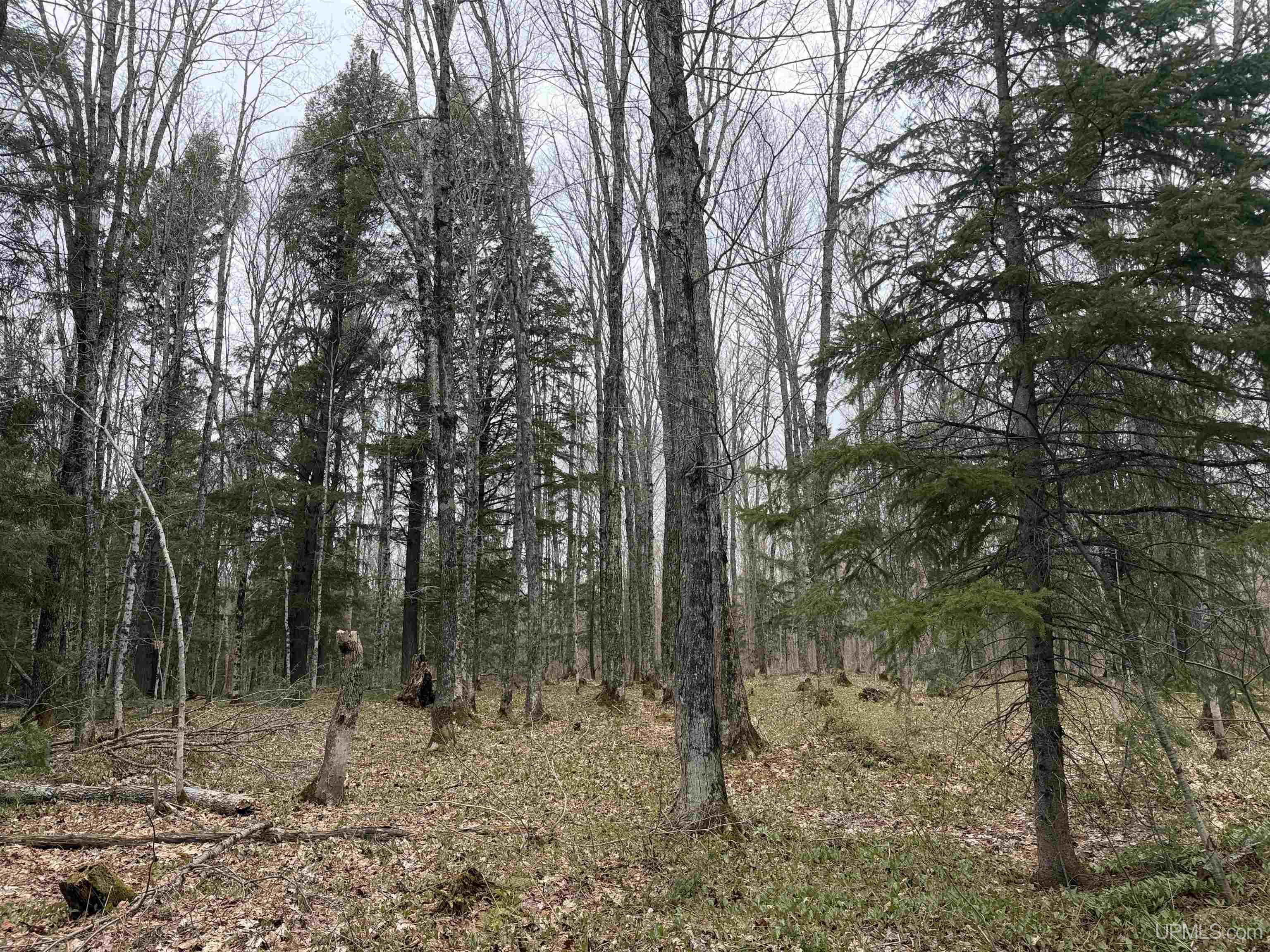 Tbd Lake Road Ironwood, MI 49938 - Photo 12 of 31