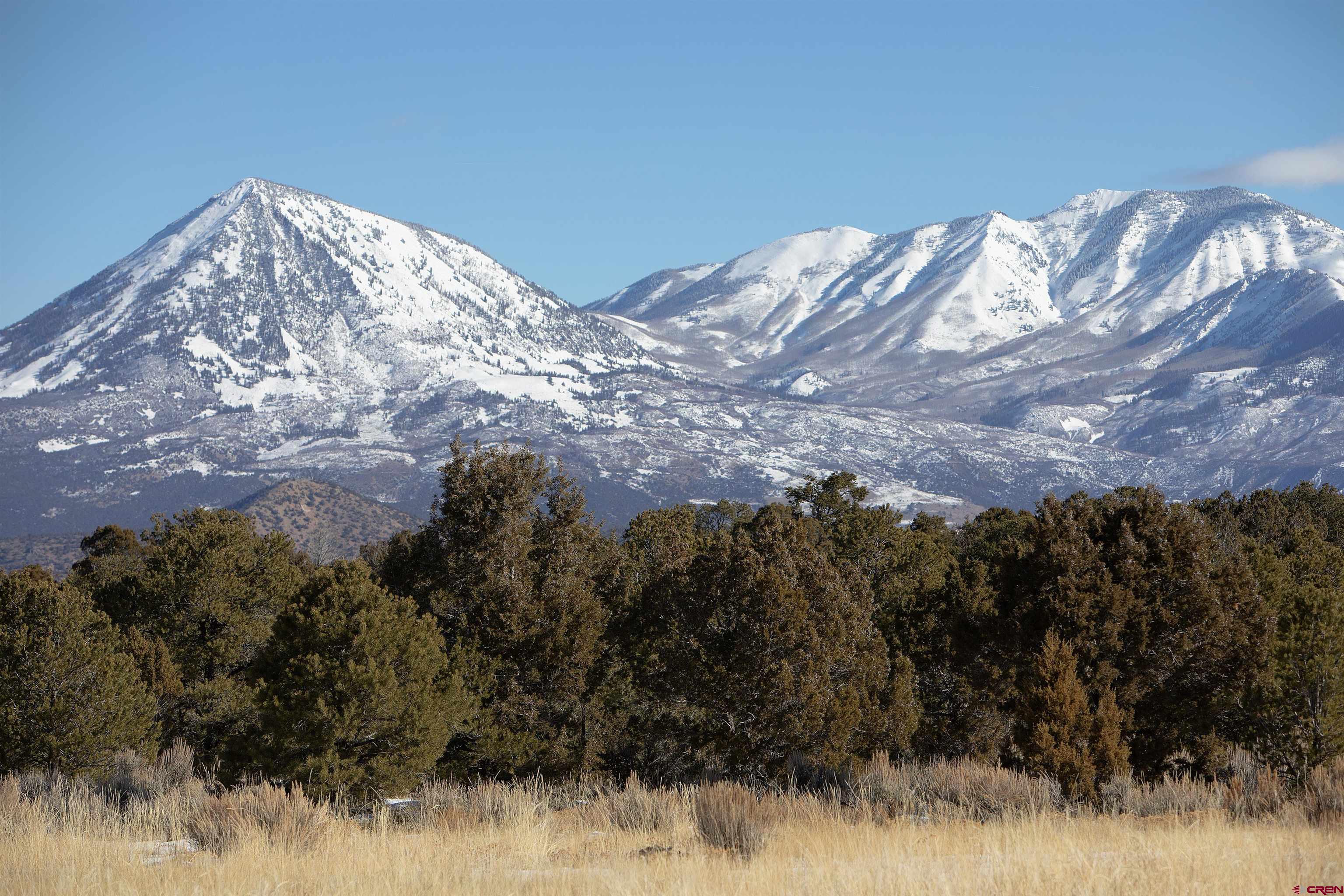 a view of a backyard of the house