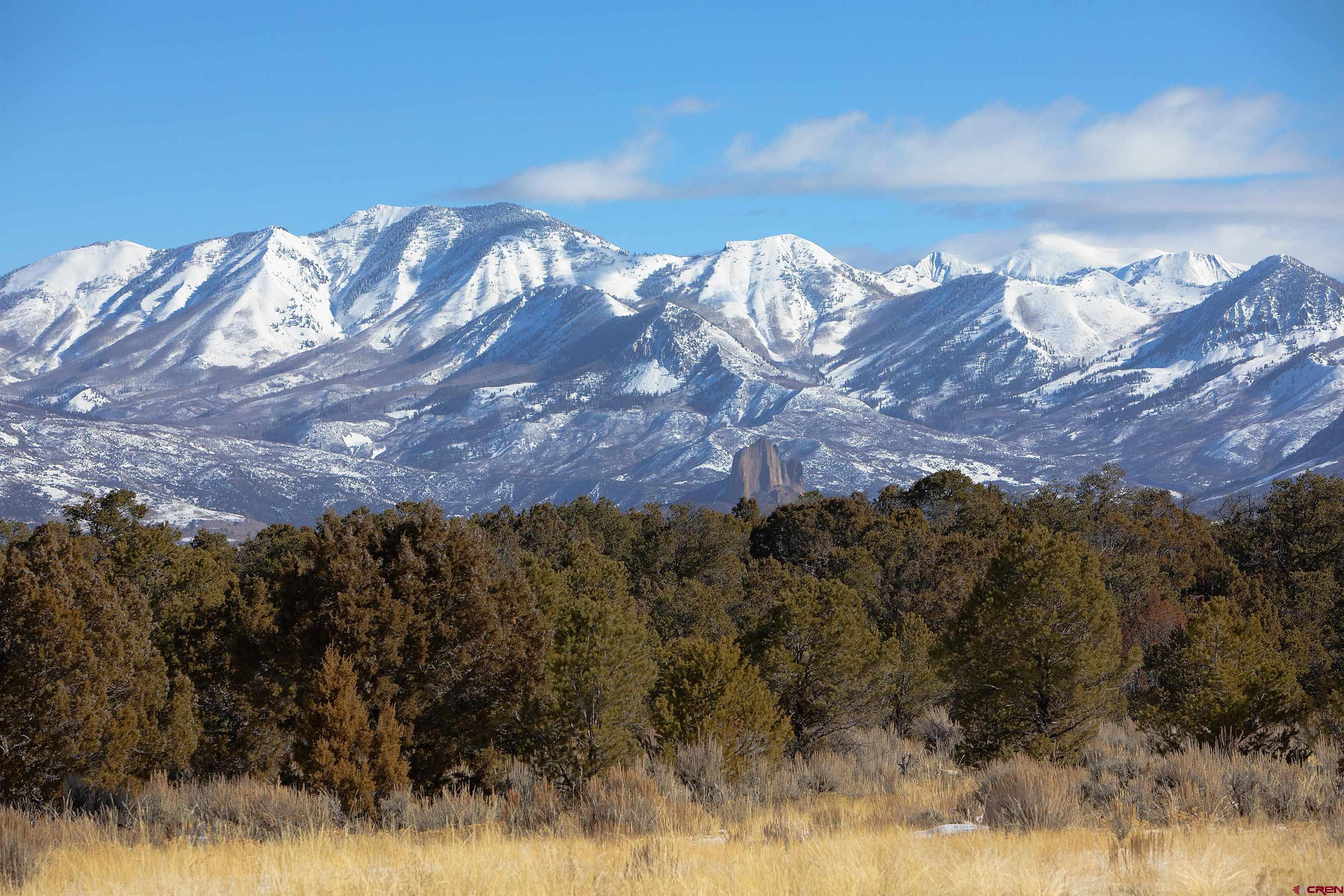 76100 B76 Road Crawford, CO 81415 - Photo 2 of 11 a view of a backyard of a house