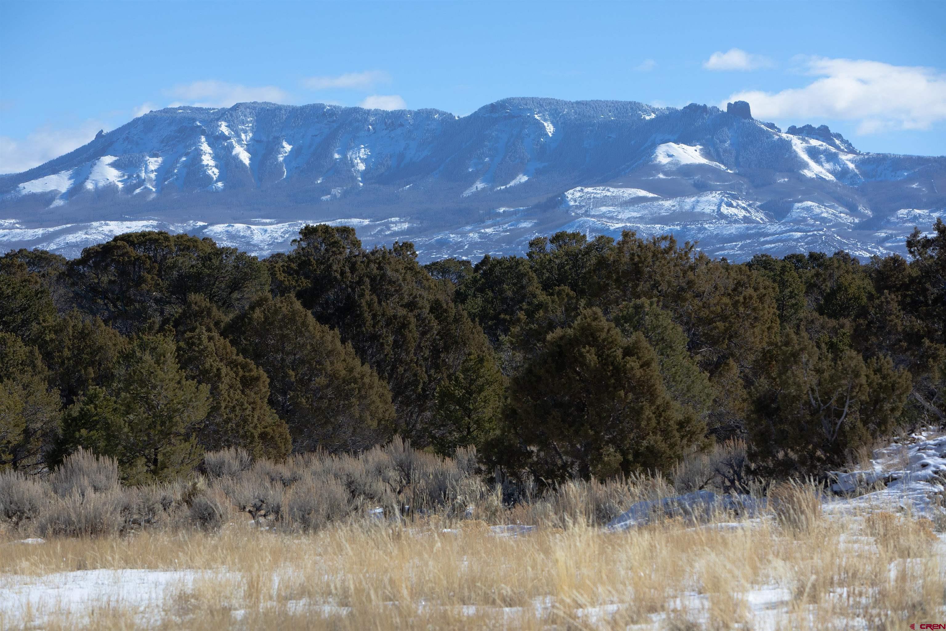 76100 B76 Road Crawford, CO 81415 - Photo 3 of 11 a view of a lake in a forest