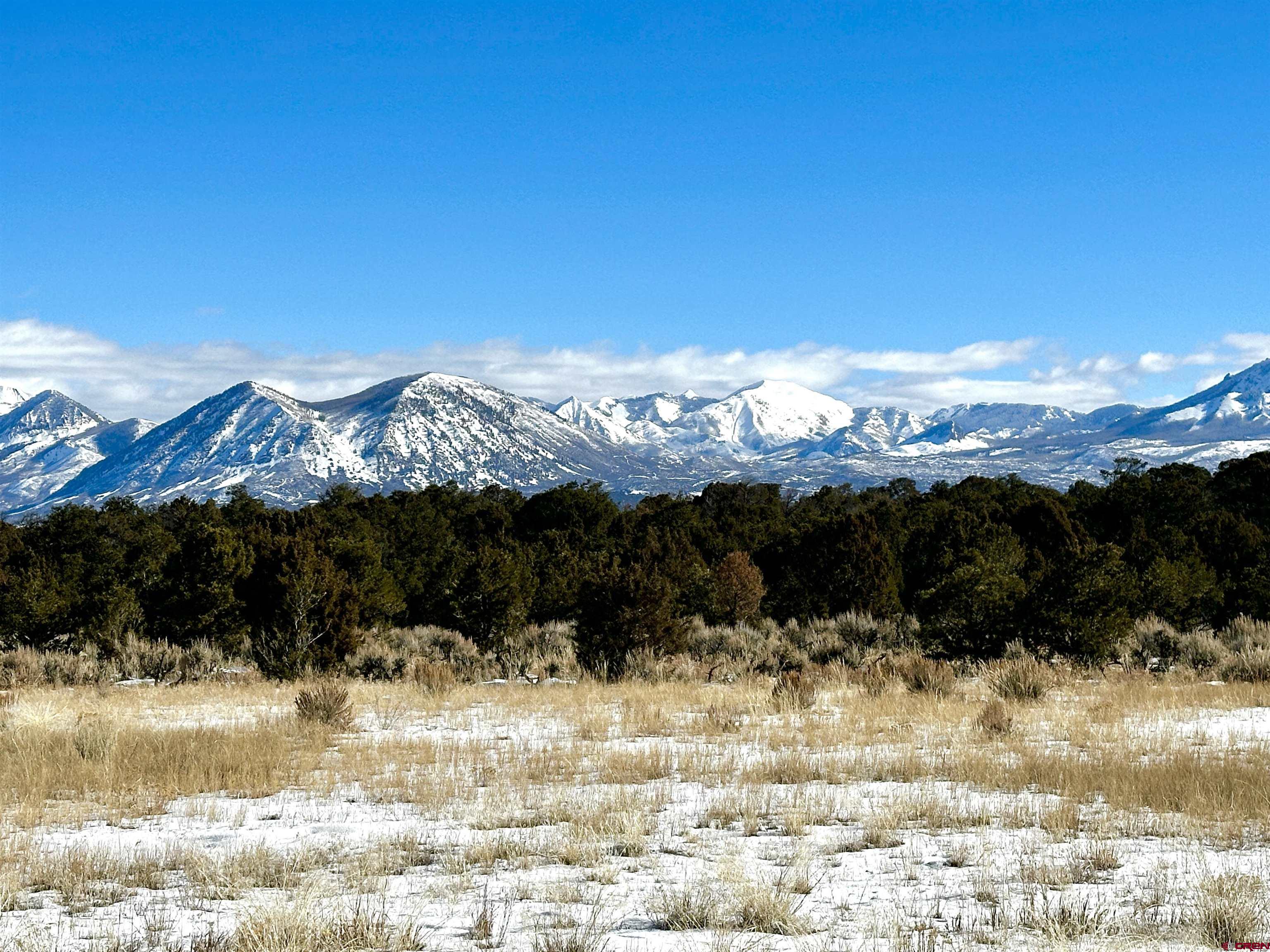 76100 B76 Road Crawford, CO 81415 - Photo 5 of 11 a view of sky view