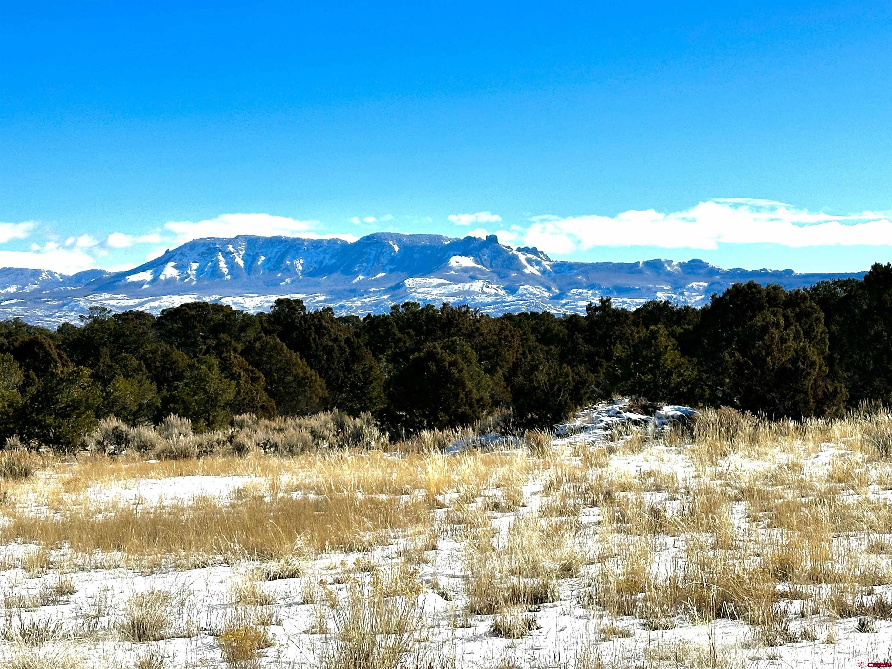 76100 B76 Road Crawford, CO 81415 - Photo 6 of 11 a view of a yard covered with snow