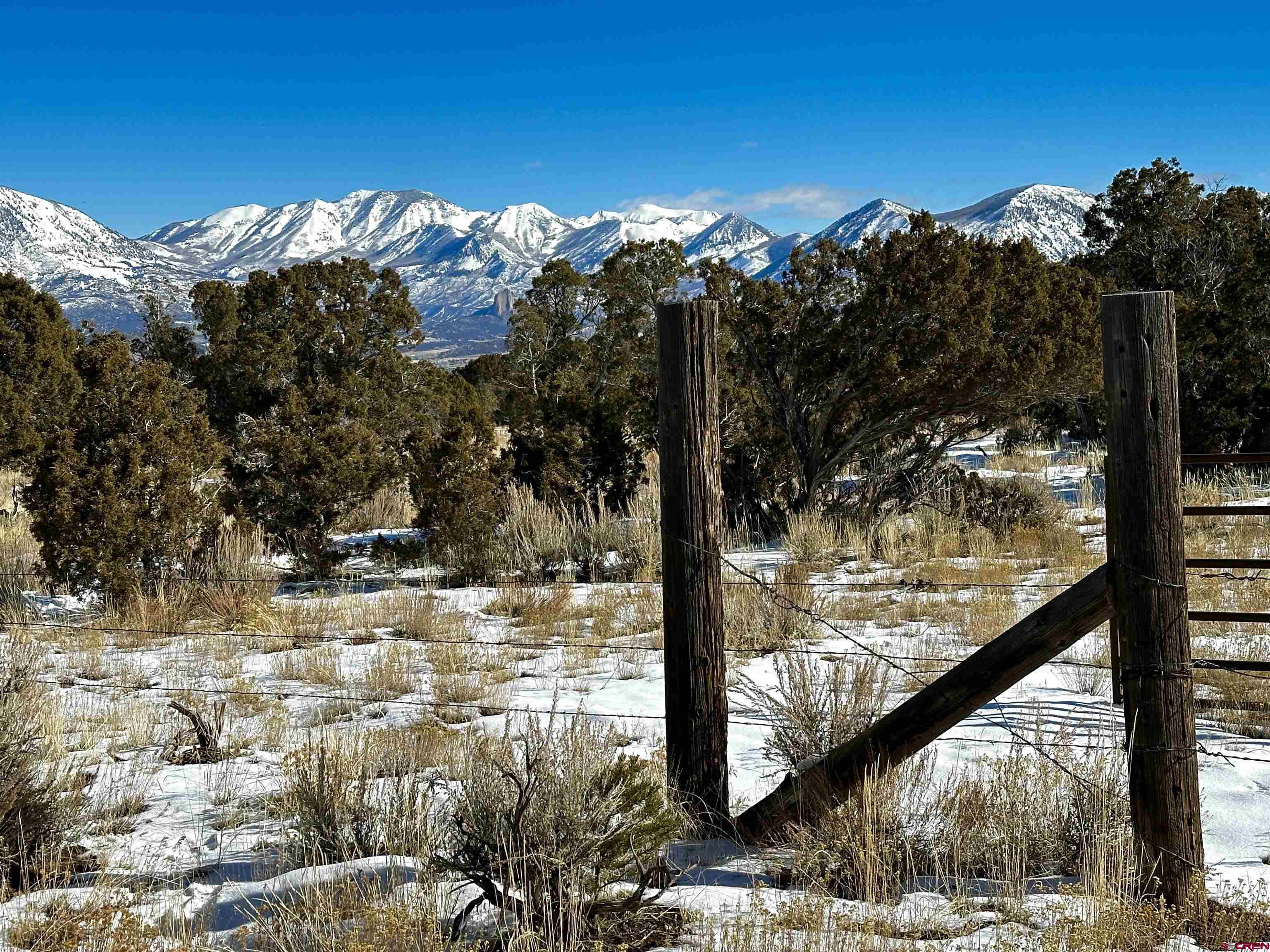 76100 B76 Road Crawford, CO 81415 - Photo 10 of 11 a view of a backyard of the house