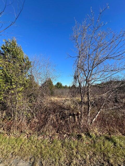 . Ketcham Bridge Road West Chazy, NY 12992 - Photo 8 of 12 20241115113109746414000000-o