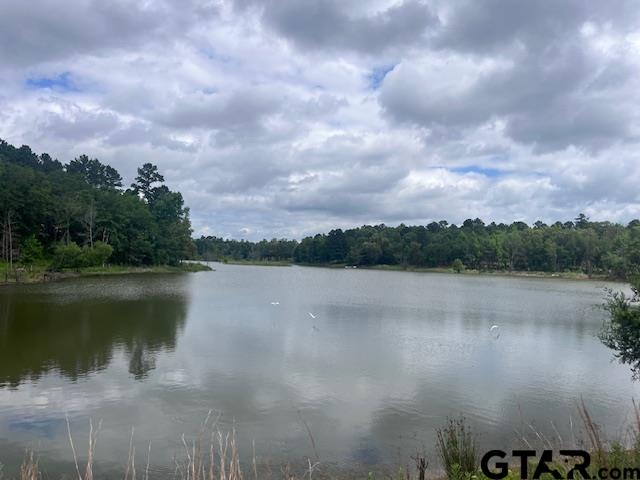 Tbd High Pnes Drive Tyler, TX 75708 - Photo 10 of 11 a view of lake