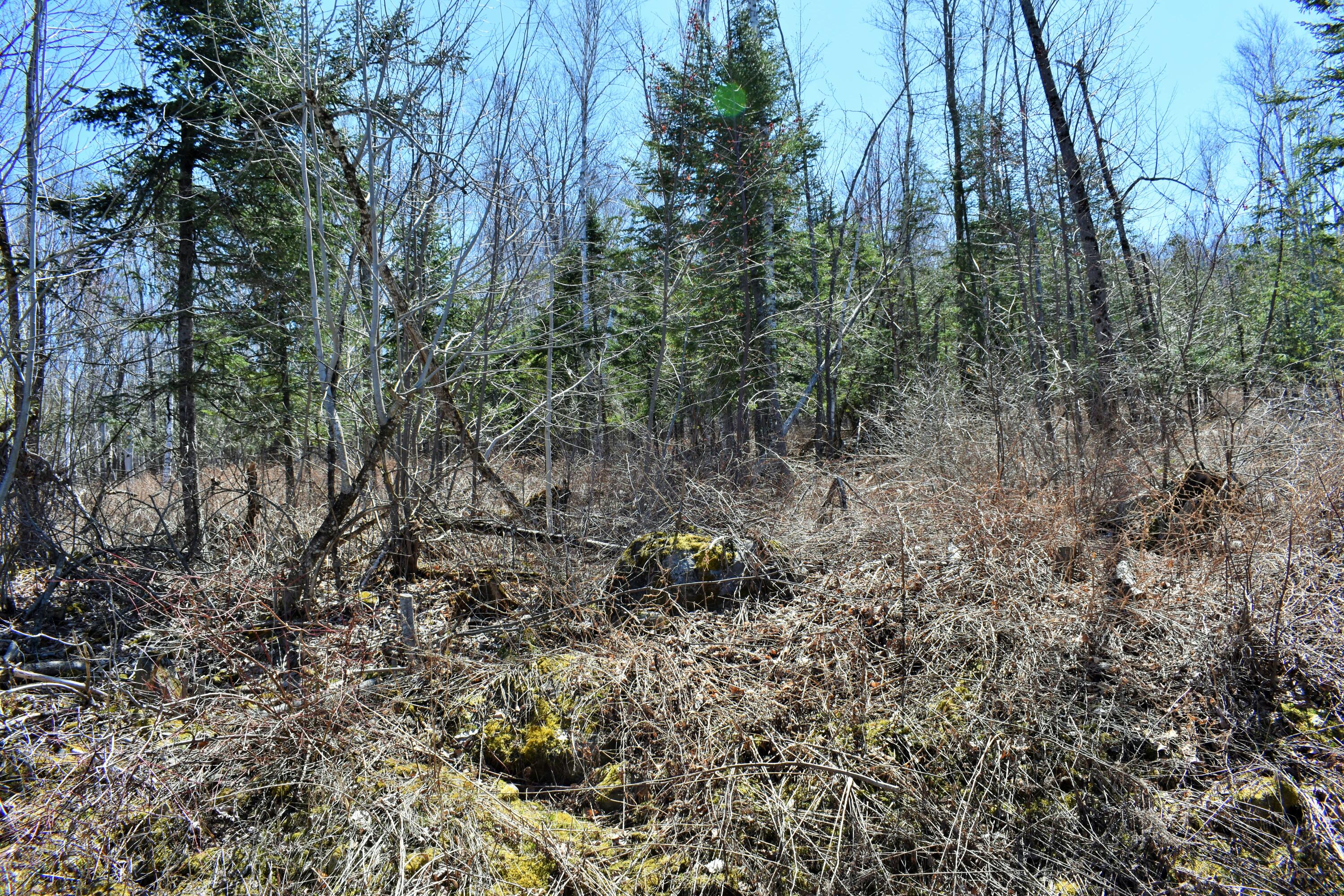 90 Cotta Lane St. Albans, ME 04971 - Photo 24 of 24 DSC_0470