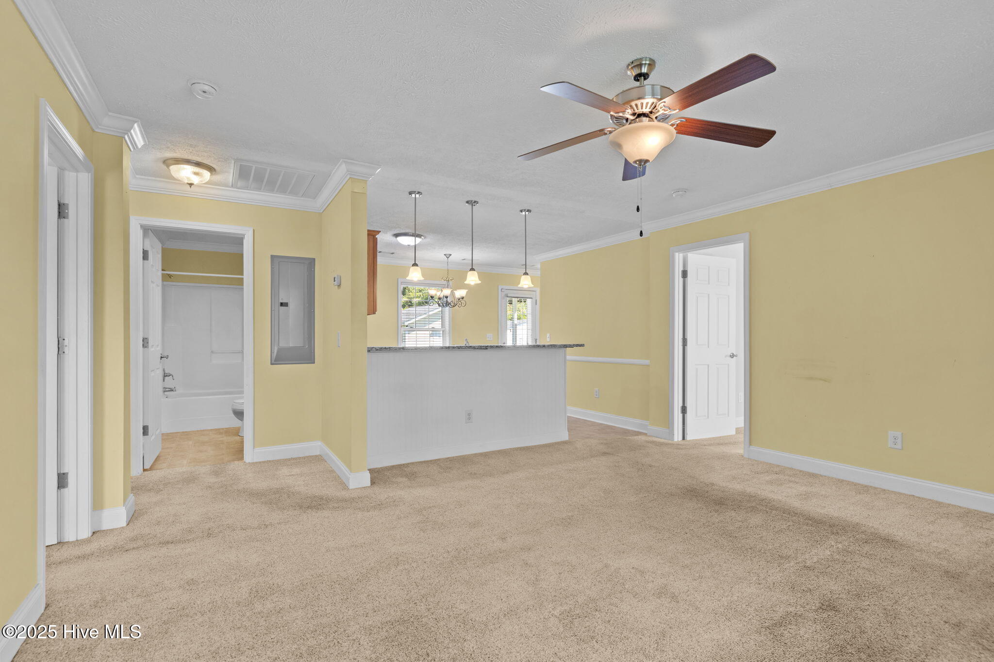 205 Ronnie Road Beaufort, NC 28516 - Photo 10 of 44 12-web-or-mls-1S3A6688