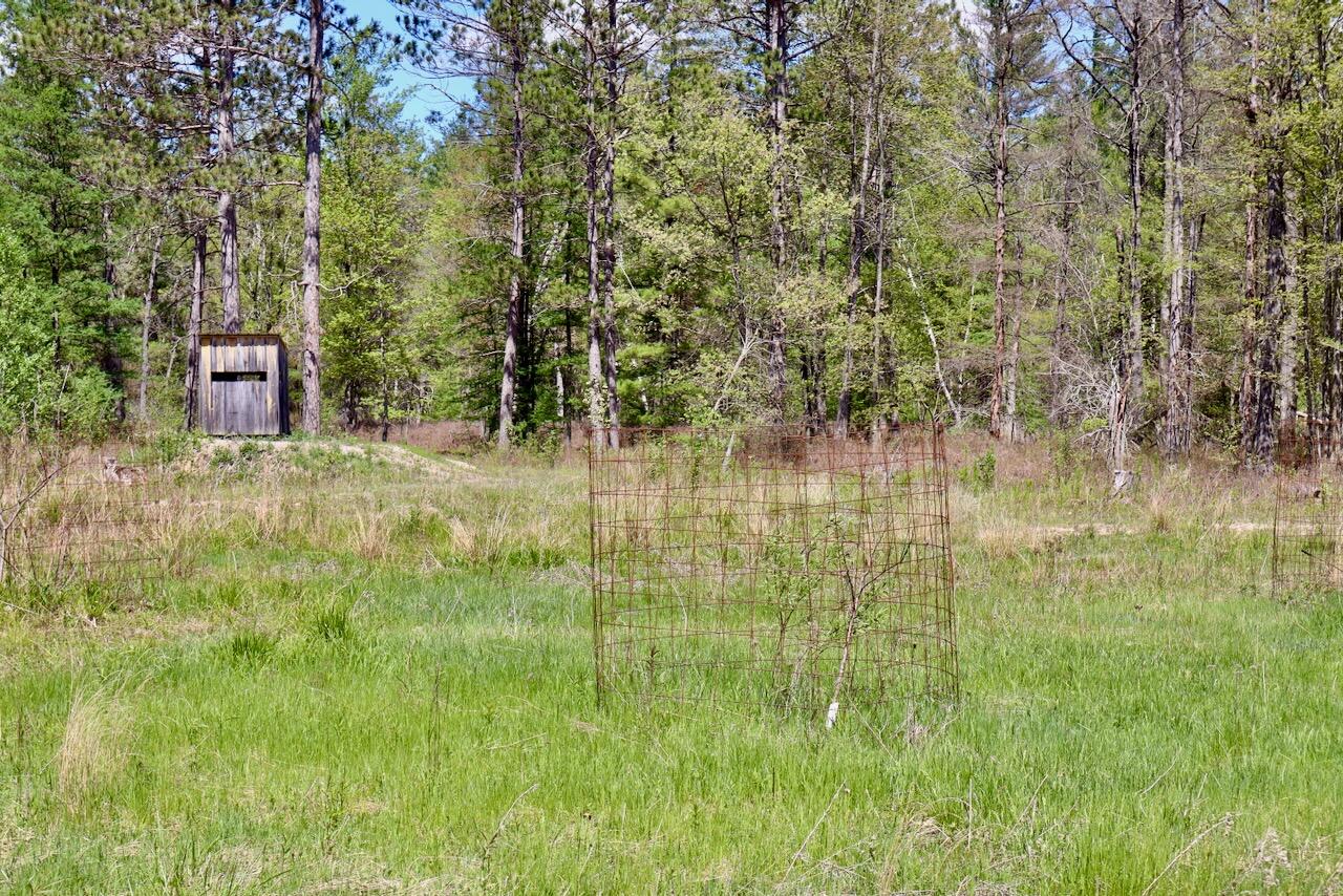 La Grant Road Alger, MI 48610 - Photo 30 of 46 025